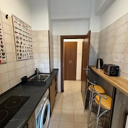 公寓 Amazing Double #near Calea Victoriei *